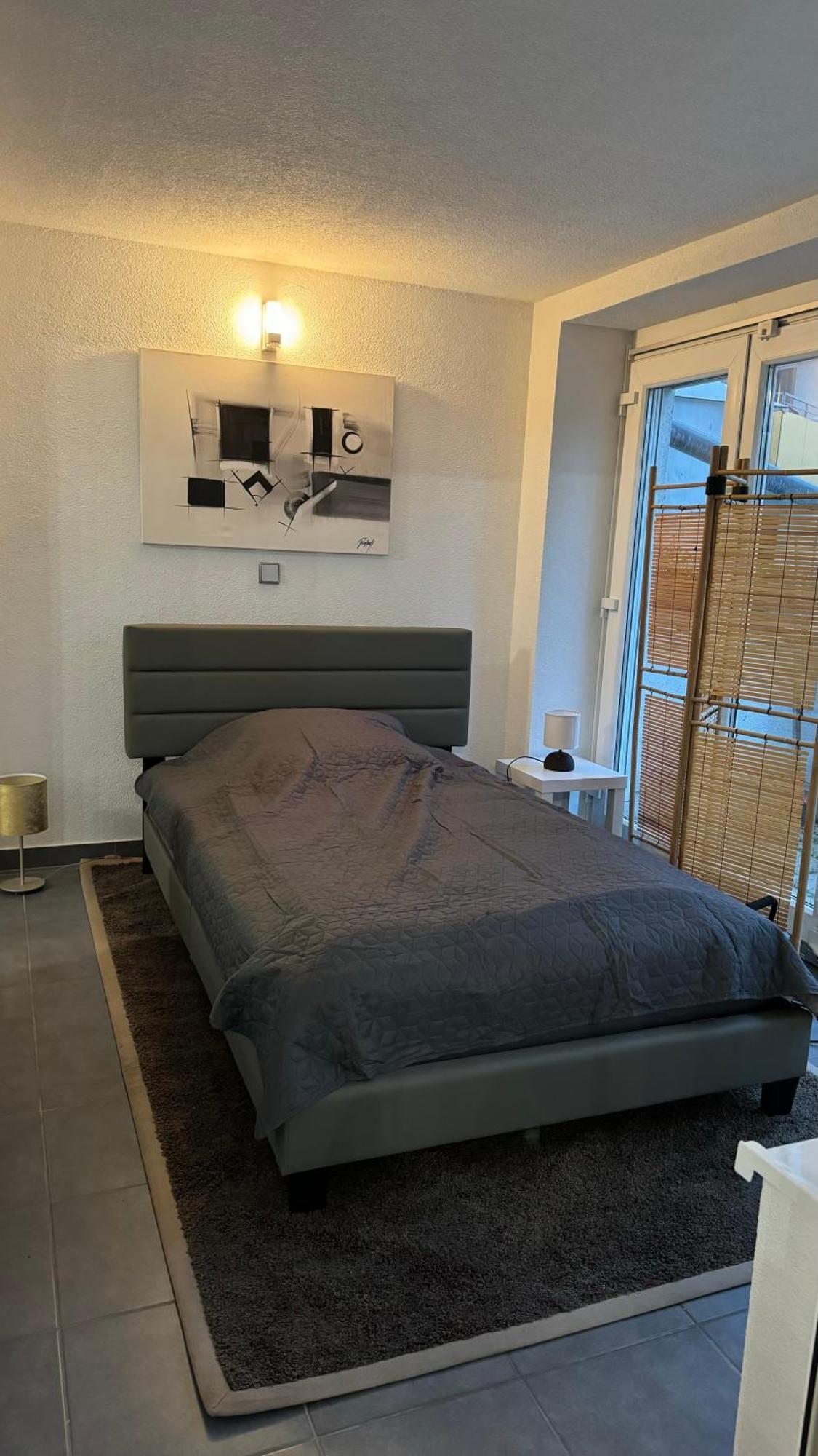 City Apartement Linz Fuer 5 Gaeste Mit Self-Checkin Und Kueche Εξωτερικό φωτογραφία